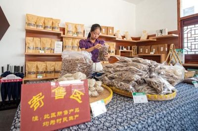 詩意田園“走”出深山，寄賣服務(wù)鋪就文化致富路